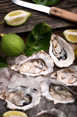 Kırılmış buz üzerinde istiridye yakın çekim 