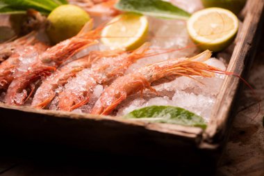 Taze kaplan karides buzda balık Market