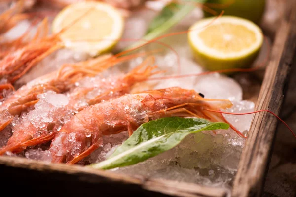 Langostinos Frescos Sobre Hielo Mercado Pescado — Foto de Stock