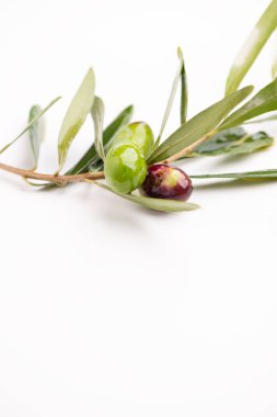 Üç zeytin ve zeytinyağı beyaz arka plan üzerinde yaprakları ile 