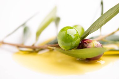 Üç zeytin ve zeytinyağı beyaz arka plan üzerinde yaprakları ile 