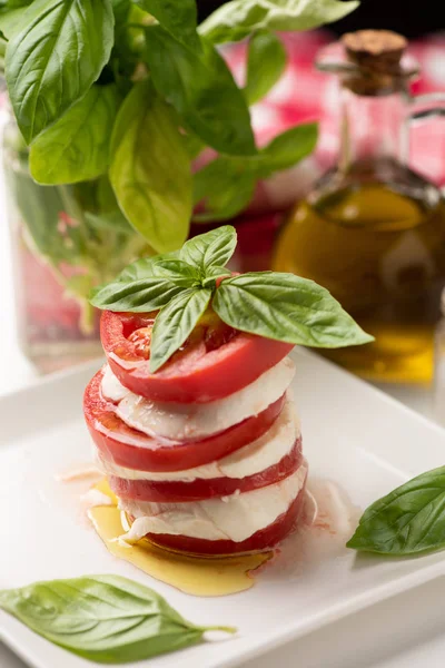 Caprese Salad Italian Mozzarella Cheese White Plate — Stock Photo, Image
