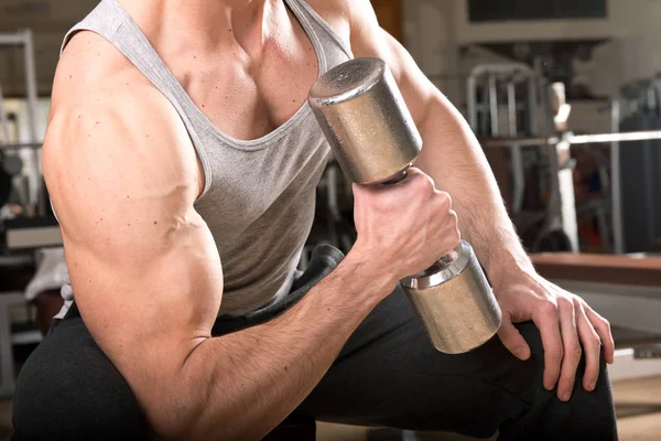 Muscular Man Working Out Gym Doing Exercises Dumbbells Biceps Royalty Free Stock Images
