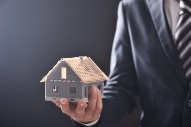 ev satın alma ya da kiralama düşündüren bir modeli ev tutan