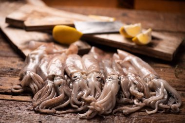 Piyasada Satılık Squid 