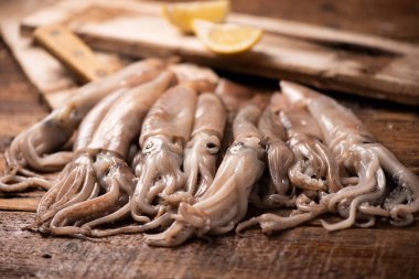 Piyasada Satılık Squid 