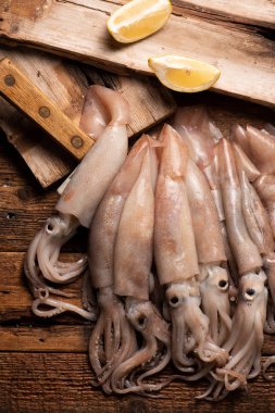 Piyasada Satılık Squid 