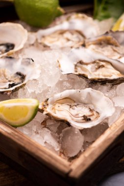 Buz küpü üzerinde istiridye