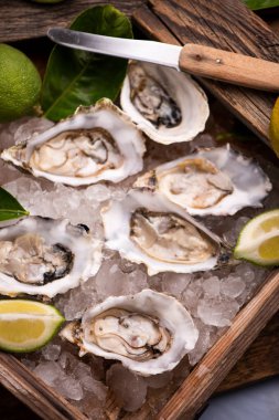 Buz küpü üzerinde istiridye