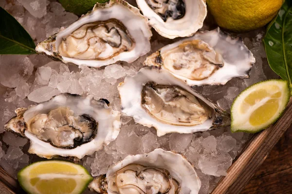 Buz küpü üzerinde istiridye