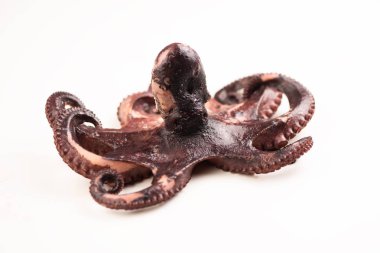 Beyaz üzerine izole haşlanmış ahtapot