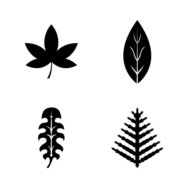 Floral Branch Leaf Plant Simple Jeu Icônes Vectorielles Connexes Pour — Image vectorielle