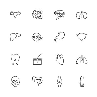 Organlar - düz vektör hat simgeler
