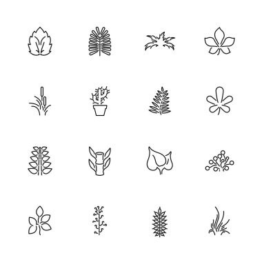 Bitkiler - düz vektör hat simgeler