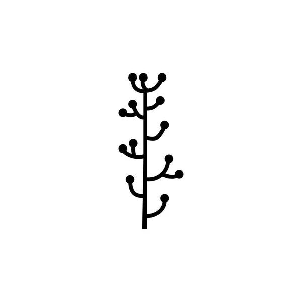Solanum Spice, fűszer gyógynövény vektor ikon — Stock Vector