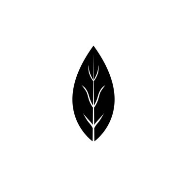 Aromatic Bay Laurel Leaf, Aroma Spice. Düz Vektör Simgesi illüstrasyonu. Beyaz arka planda basit bir siyah sembol. Aromatic Bay Laurel Leaf, Aroma Spice ağ ve mobil UI ögesi için işaret şablonu