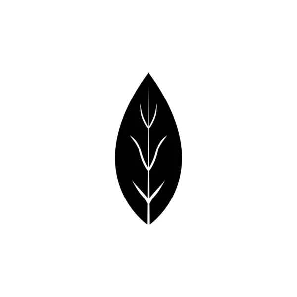 Hoja Laurel Bahía Aromática Especia Aromática Icono Vector Plano Ilustración — Vector de stock