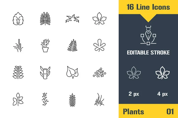 Cultivo Plantas Hojas Follaje Plantas Icono Línea Delgada Ilustración Del — Vector de stock