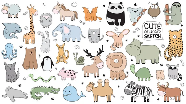 Vektör karikatür büyük şirin doodle hayvanların ayarlayın. Kartpostal, Doğum, bebek kitap, çocuk odası için mükemmel. Kuzu, timsah, zebra, deve, tavşan, leopar, köpekbalığı, kurt, panda, fil