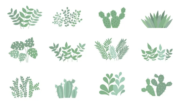 Vector Linda Colección Plantas Casa Objetos Aislados Sobre Fondo Colores — Vector de stock