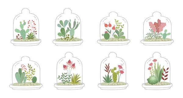 Vektor Gyűjteménye Aranyos Szobanövények Üveg Alatt Kertészet Kupola Alatt Valentin — Stock Vector