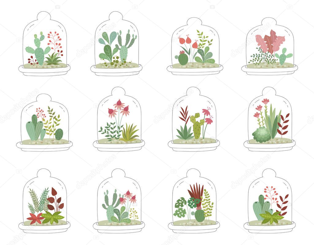 Vector collection of cute house plants under glass. Gardening under the dome. Valentine's day, anniversary, save the date, baby shower, birthda