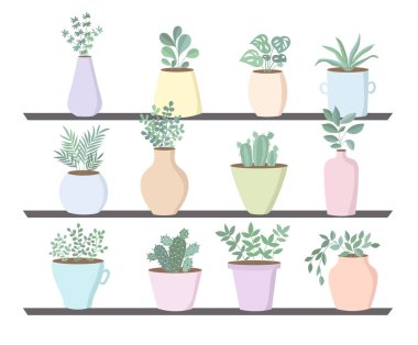 Şirin saksı karanfiller bir raf ile vektör koleksiyonu. Sevgililer günü, yıldönümü, Sonbahar Festivali, Şükran, bebek duş, birthda