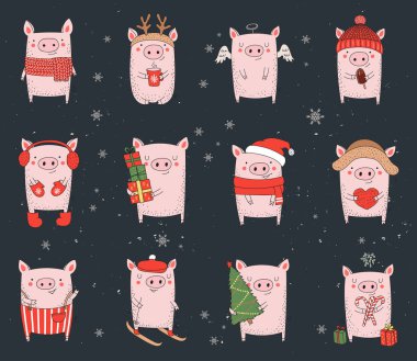 Sevimli kış domuz topluluğu. Yeni yıl 2019. Çince takvim yılında sembolü. Vektör izole illüstrasyon karikatür. Sarı domuz yılı.
