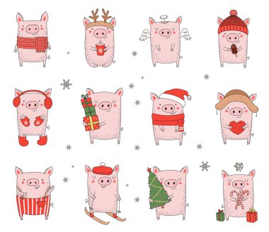 Collection of cute winter pigs. New 2019 year. Symbol of the year in the Chinese calendar. Vector cartoon isolated illustration. Year of yellow pig. clipart