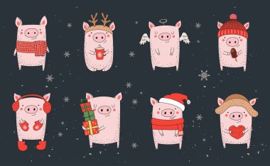 Collection of cute winter pigs. New 2019 year. Symbol of the year in the Chinese calendar. Vector cartoon isolated illustration. Year of yellow pig. clipart