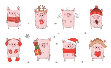 Sevimli kış domuz topluluğu. Yeni yıl 2019. Çince takvim yılında sembolü. Vektör izole illüstrasyon karikatür. Sarı domuz yılı.