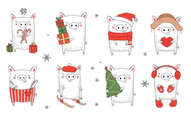 Sevimli kış domuz topluluğu. Yeni yıl 2019. Çince takvim yılında sembolü. Vektör izole illüstrasyon karikatür. Sarı domuz yılı.