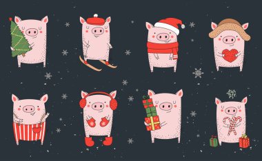Sevimli kış domuz topluluğu. Yeni yıl 2019. Çince takvim yılında sembolü. Vektör izole illüstrasyon karikatür. Sarı domuz yılı.