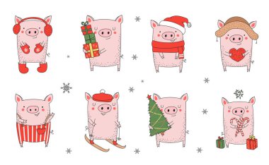 Sevimli kış domuz topluluğu. Yeni yıl 2019. Çince takvim yılında sembolü. Vektör izole illüstrasyon karikatür. Sarı domuz yılı.