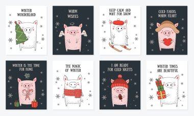 Postcard collection. New 2019 Year posters with cute pig and winter slogan. Symbol of the year in the Chinese calendar. Vector cartoon isolated illustration. Year of yellow pig. clipart