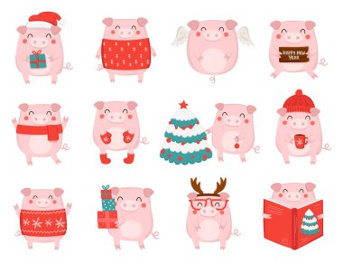 Sevimli kış domuz 2019 yılbaşı için yaratıcı topluluğu. Çince takvim yılında sembolü. Vektör izole illüstrasyon karikatür. Sarı domuz yılı.