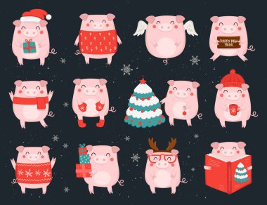 Sevimli kış domuz 2019 yılbaşı için yaratıcı topluluğu. Çince takvim yılında sembolü. Vektör izole illüstrasyon karikatür. Sarı domuz yılı.