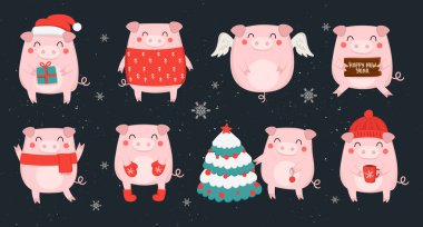 Sevimli kış domuz 2019 yılbaşı için yaratıcı topluluğu. Çince takvim yılında sembolü. Vektör izole illüstrasyon karikatür. Sarı domuz yılı.