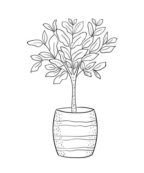 ポットにハウス植物とベクトルかわいいカード — ストックベクタ