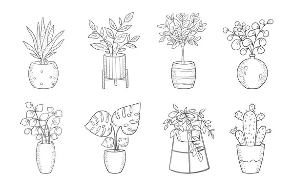 Reihe von niedlichen Zimmerpflanzen in Töpfen — Stockvektor