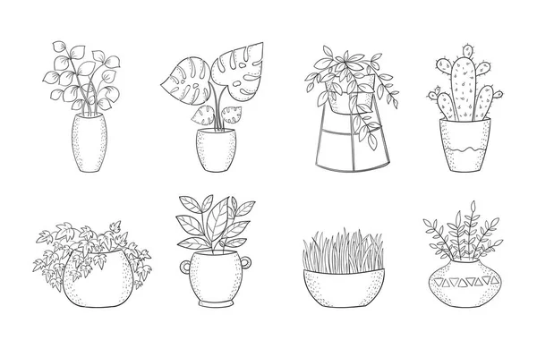 Set of cute house plants in pots — Stock Vector