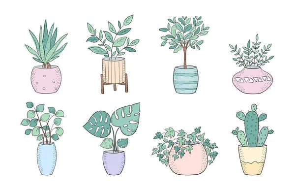 Verzameling van cute huis planten in potten — Stockvector