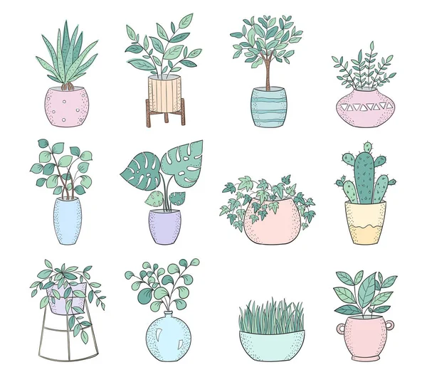 Verzameling van cute huis planten in potten — Stockvector