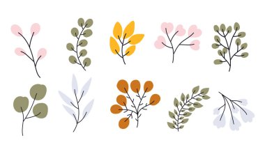 Bebek odası dekorasyonu ve bebek partisi için ağaç dalları toplayan vektör el. Doğum günü, çocuk partisi, yaz tatili, kıyafet baskısı için mükemmel.