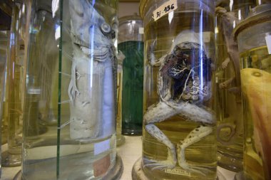 Hazırlıklı eski okul kabinesi