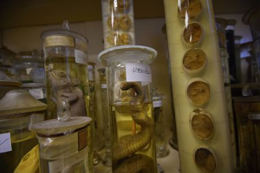 Hazırlıklı eski okul kabinesi