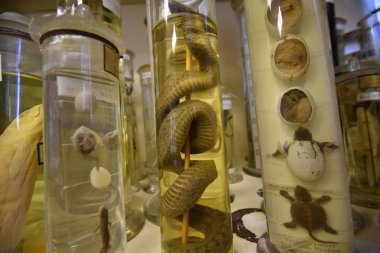 Hazırlıklı eski okul kabinesi