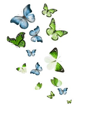 Uçan kelebek sürüsü beyazlar üzerinde izole edilmiş.