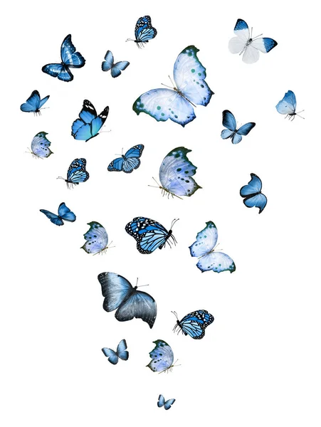 Manada Mariposas Voladoras Aisladas Blanco — Foto de Stock