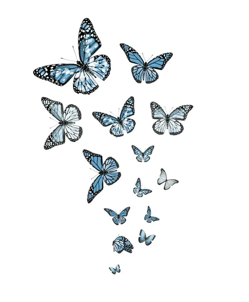 Flock Flying Butterflies Isolated White — Stock Photo, Image